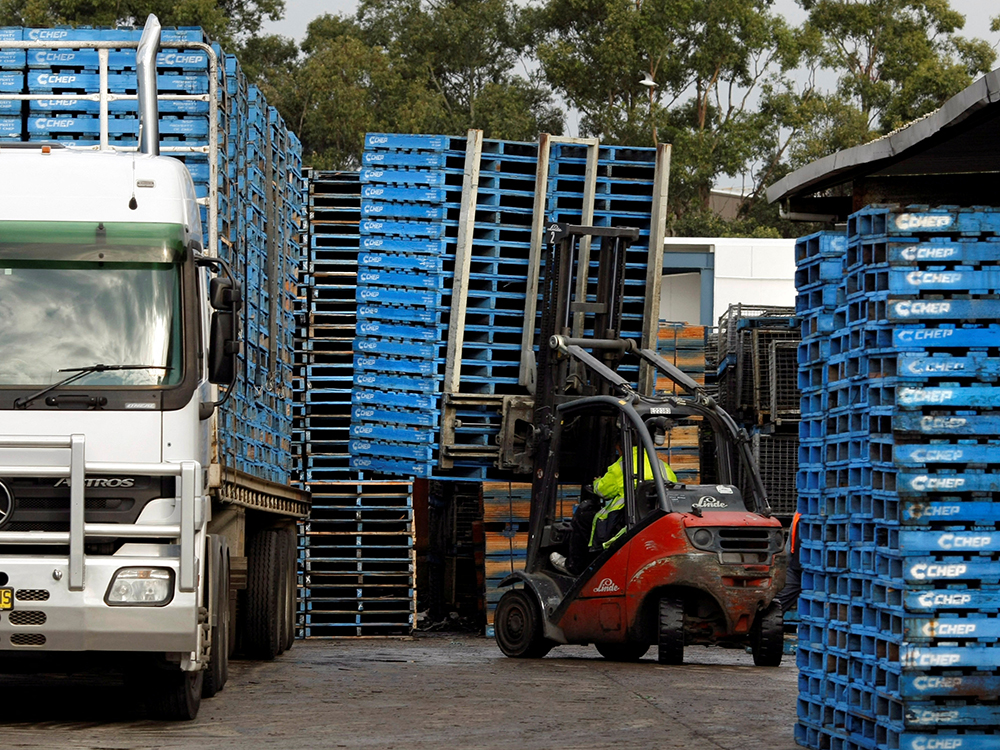 PALLET DE PLÁSTICO  Evite la deforestación de nuestros bosques