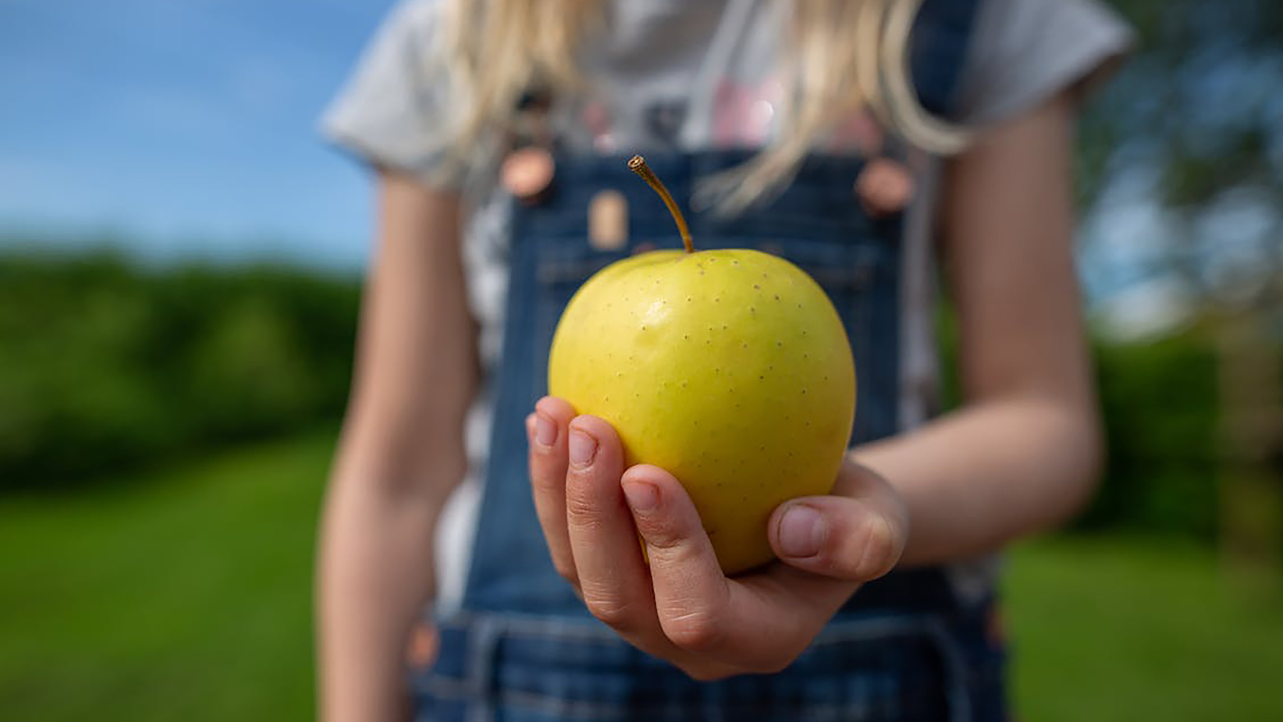 Frutata – Bio-Baumgereifte Früchte