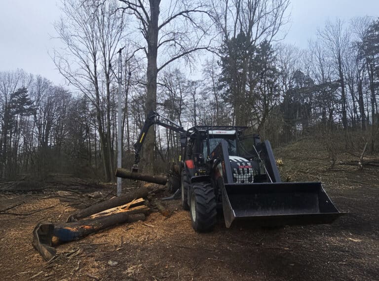 Excavator loading logs or wood in a forest area, used for forestry work or timber handling.