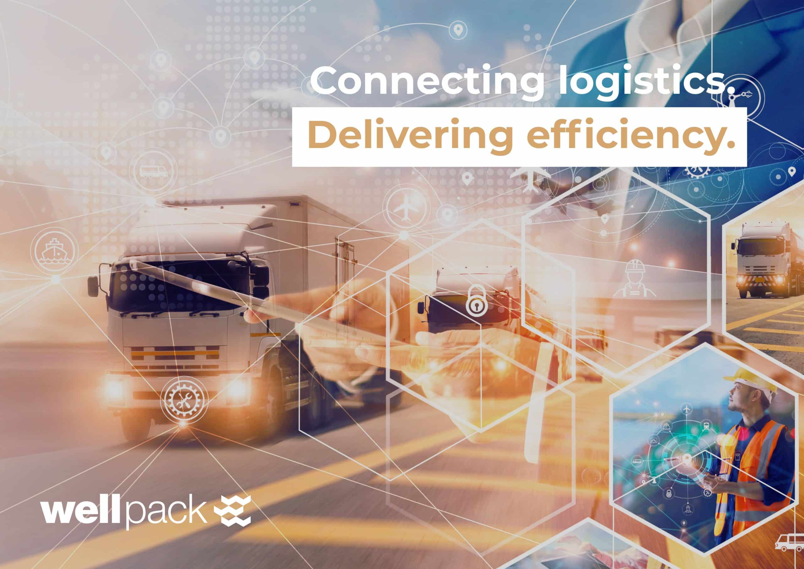 Sustainability and Efficiency: The Future of Logistics