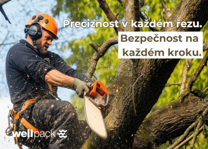 „Arborista řeže větev motorovou pilou – precizní a bezpečný ořez stromů, Wellpack