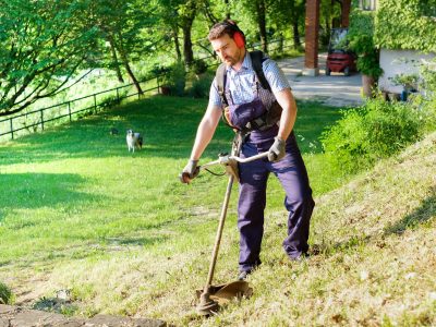 Professional gardener using an edge trimmer in the home garden