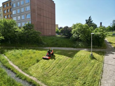 Gardening and landscaping services