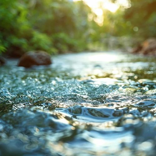 Water in different environments